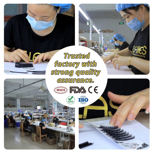 Lash Masters. Vegan Design.