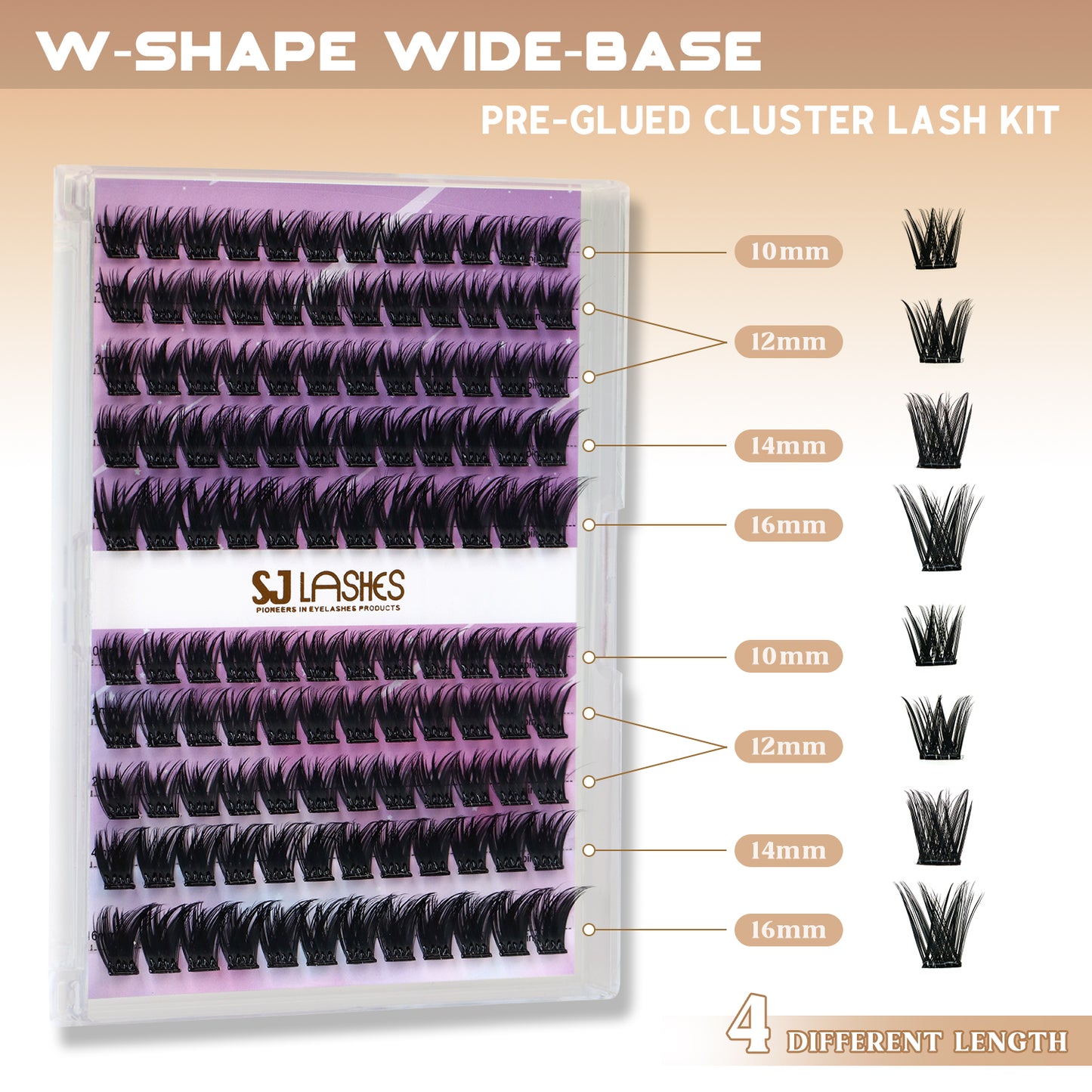 Self-Adhesive Pre-Glued Cluster Lash Kit: W-Shape Wide-Base & Pre-Mapped Contour Styles